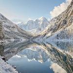 Colloidal Gold 10 PPM – 99.99% Pure Supplement