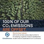 Colloidal Silver 40 PPM 1000 ml for Humans & Dogs