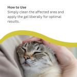 Nature's Secret Colloidal Silver Petcare Gel 100g