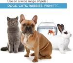 Colloidal Silver Spray for Pet Skin Relief