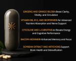 Nootropic Brain Boost Supplement for Focus & Memory