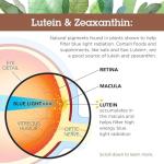 Lutein 40mg & Zeaxanthin 4mg Eye Health Capsules