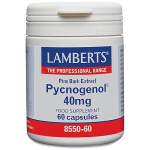 Lamberts Pycnogenol 40mg – Vegan Pine Bark Extract