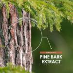 Organic Pine Bark Extract 7500mg - 90 Vegan Capsules