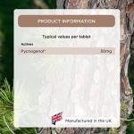 Healthspan Pycnogenol 30mg Vegan Tablets - Natural Extract