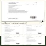 Swanson Pycnogenol Pine Bark Extract 100mg 30 Caps