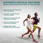 Vinco Resveratrol 1000mg Capsules for Heart Health