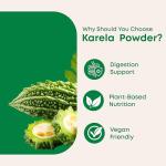 Karela Bitter Gourd Powder for Healthy Blood Sugar