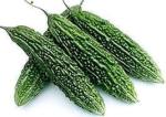 High Yield Karela Vegetable Seeds (5 Pack)