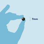 Kelp Seaweed Tablets for Dogs and Cats