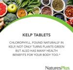 Nature's Plus Icelandic Kelp Iodine Supplement - 300 Tablets