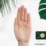 DGL Licorice Root Chewable Tablets 400mg - 90 Count