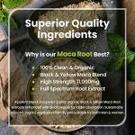 Super Strength Black Maca Root Capsules 11,000mg