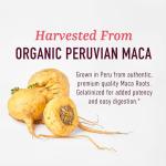 Extra Strength Maca Root Capsules for Women