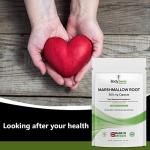 Bodygenix Marshmallow Root 500mg Digestive Support Capsules