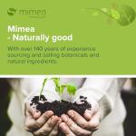 Mimea Marshmallow Root Powder 1kg Herbal Supplement