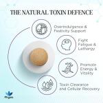 High Strength Milk Thistle Liver Support Tablets