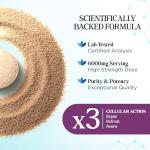 High Strength Milk Thistle Liver Support Tablets