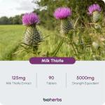 High Strength Milk Thistle 5000mg - 90 Tablets