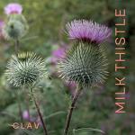 Organic Milk Thistle & Artichoke Extract Complex