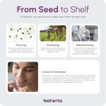 High Strength Milk Thistle 5000mg - 90 Tablets