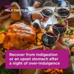 HRI Milk Thistle Tablets for Indigestion Relief