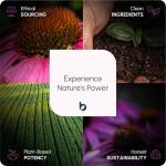 High Strength Milk Thistle 5000mg - 90 Tablets