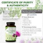 High Strength Milk Thistle Capsules for Liver Support