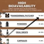 Lion's Mane Mushroom Complex Transdermal Patches - 60 Patches