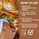 Lion's Mane Mushroom Complex Transdermal Patches - 60 Patches