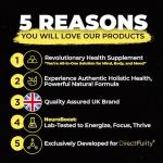 NeuroBoost Wellness Gummies for Stress and Focus