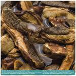 Dried Porcini Mushrooms 45g by Emma Basic