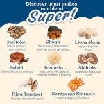 Applied Nutrition Mushroom Superblend - 40 Servings