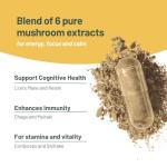 High Strength Mushroom Complex Supplement - 120 Capsules
