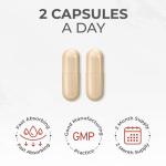 6 Mushroom Complex with Ashwagandha for Brain Support