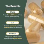 High Strength Mushroom Complex Supplement - 120 Capsules