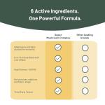 High Strength Mushroom Complex Supplement - 120 Capsules