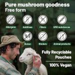 High Strength Mushroom Complex Supplement - 120 Capsules