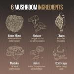 Mushroom Blend for Focus, Energy, and Stress Relief