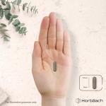 Shiitake Mushroom Extract 1000mg - 120 Capsules