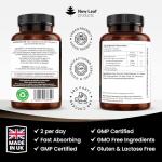 High Strength Reishi Mushroom Capsules 4000mg - 120 Vegan