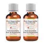Greenwood Essential Pure Nagarmotha Oil - 5ml X 2