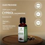 Sheer Essence Cypriol Nagarmotha Essential Oil 4oz