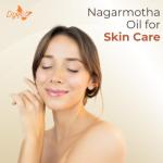 Crysalis Pure Nagarmotha Oil for Skin & Hair