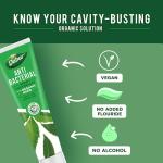 Dabur Neem Organic Toothpaste - Antibacterial Oral Care