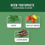 Dabur Neem Organic Toothpaste - Antibacterial Oral Care