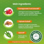 Neem & Pomegranate Natural Toothpaste, Vegan Formula