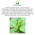 Organic Stinging Nettle Leaf Tincture Drops