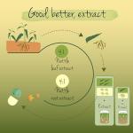 Vegavero Organic Stinging Nettle 3600 mg - 120 Vegan Capsules