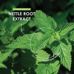 Organic Nettle Root Extract 5000mg - 120 Vegan Capsules